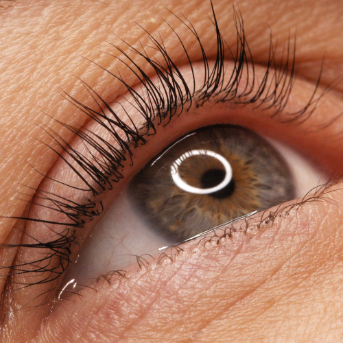 lash lift